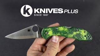 Spyderco Delica S30V Delica Limited Knife "Walk-Around" - Knives Plus