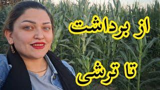 ولاگ روزمرگی مامان و بابا و رفتن من سر زمین بلال#روزمرگی #خانواده #آشپزی #babycorn #ولاگ