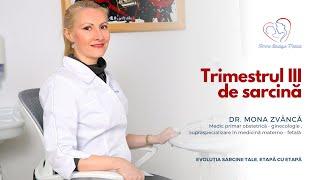 Trimestrul 3 de sarcină I Dr. Mona Zvâncă I Femmeboutiquemedical.com