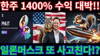 솔라나 밈코인 또 대박??한주 1400%수익성공!! 일론머스크 함께가보자!!