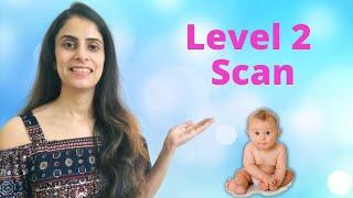 Pregnancy level 2 scan mein kya hota hai aus isme kya pta chalta hai?