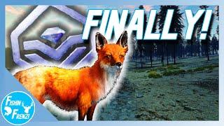 FINALLY!! Finding A Diamond Red Fox On Yukon Valley! | theHunter - Call of the Wild