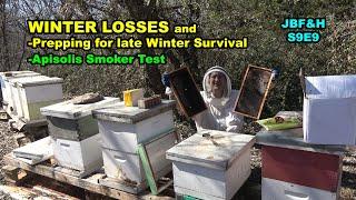 Survival Check after Second Hard Freeze S9E9 #beekeepingequipment