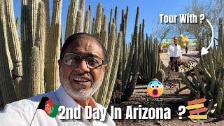 2nd Day Kiya Hua Arizona Main  ? | Waseem Lifestyle Vlog