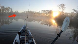 The ULTIMATE *** Kayak Fishing *** Adventure || Saltwater Fishing BACKWATER Creeks