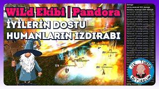 PK İÇİN ÇİĞ ETLE BESLENİYORUZ #knightonline #pandora #wild #justthegame