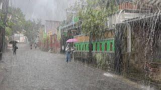 Heavy rain in Indonesian village, walking in heavy rain, falling asleep to the sound of heavy rain