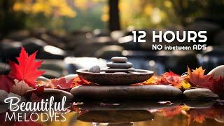 Relaxing Meditation Music And Water Sounds For Deep Sleep - Relaxing Music, Spa, Water Fountain