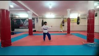 Mohammad Reza Safavi/iran/u11/poomsae