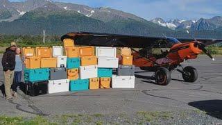 New Yeti coolers wash up on Alaskan beaches