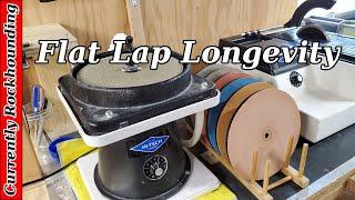 All-U-Need Flat Lap Longevity // How Long Does a Disc Last?