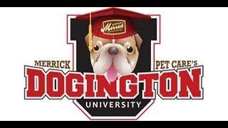 Merrick Pet Care's Dogington University - Dr. Shawn Messonnier