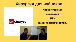 Хирургия для чайников. Хирургическая  анатомия вен нижних конечностей