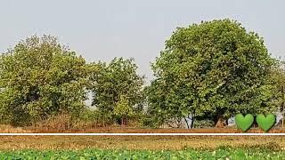 MORNING WALK || Government Medical College Shahdol || shahdol MP