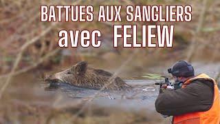 Battues aux sangliers avec @Feliew  //Wild Boar Hunting with @Feliew //Wildschwein Druckjagt