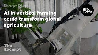 AI in vertical farming could transform global agriculture | The Excerpt