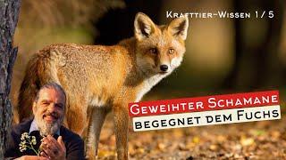 Wie KRAFTTIER-ARTEN dich unterstützen || Ein Schamane führt dich ein - KRAFTTIERE 1/5