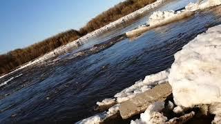 Ледоход на реке Сысола(Icebreaker on the Sysola River) 19.04.2021