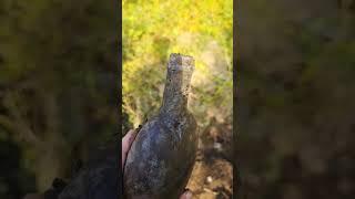 We Dug Up Two Amazing 1800s Bottles! #metaldetecting #history