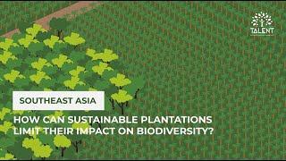 How can sustainable plantations limit their impact on biodiversity?