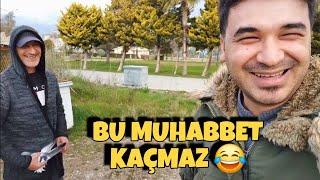 TEKE KUŞ UÇURDUK BAŞIMIZA GELMEYEN KALMADI ! #oyunkuşu #taklacıgüvercin #mardinoyunkuşu #güvercin