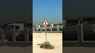 Jebel Ali free zone 