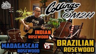 結他大全：Collings OM2H comparison｜ Brazilian Rosewood vs Madagascar Rosewood vs Indian Rosewood｜