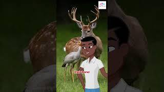 The Compassionate Deer: A Tale of Kindness / shorts