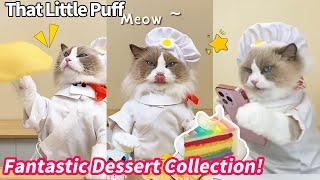 Chef Cat: Fantastic Dessert Collection! | That Little Puff