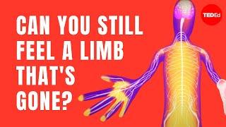 Can you still feel a limb that's gone? - Joshua W. Pate