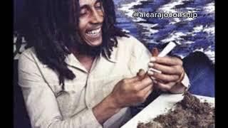 Legalizenla- Bob Marley (Viejas Locas IA cover)