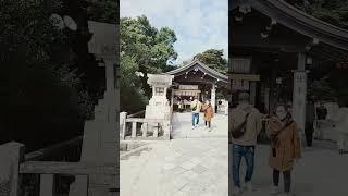 鎌倉八幡宮７가마쿠라 하치만궁