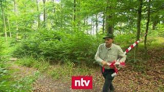 Rücksichtslose E-Mountainbiker verärgern Förster | ntv