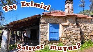 LATEST SITUATION IN OUR STONE HOUSE IN MUĞLA | WHY DID RENOVATION NOT START?