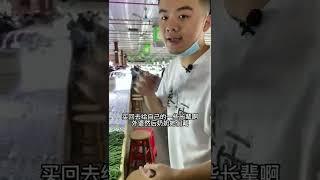 卖翡翠就像卖白菜一样，四会天光墟的翡翠批发市场，你见过吗#翡翠 #翡翠直播  #玉石 #shorts