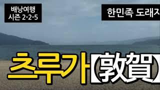 [일본 츠루가여행] 한민족도래지  우리 조상들의 도착지, 츠루가 Tsuruga 敦賀