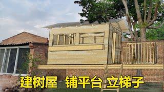 一起带娃儿 建树屋 搭平台 立梯子 /build a tree house, build a platform, set up a ladder