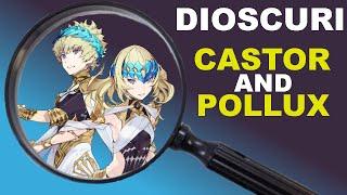 How Accurate are FGO's Dioscuri?