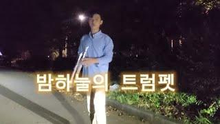 트럼펫 곡