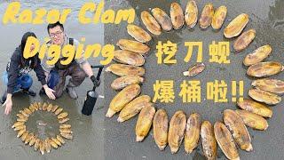 赶海Vlog｜挖刀蚬【大竹蛏】爆桶啦｜WA Razor Clam Digging｜攻略篇｜西雅图赶海｜美国赶海｜西雅图周边｜西雅图周末