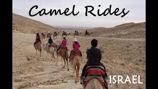 2 hours Camel Ride in Israel Negev Desert + Camel Range Hut Stay