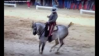 Doma Vaquera is closely related to the Vaquero style