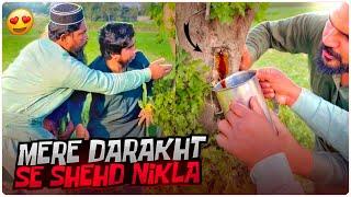 Mere Darakht Se Shehd Nikla!!  - Khizar Omer