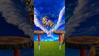 Youtube short video viral Animal viral short #shortvideos #allah #viral #animals #viralvideo