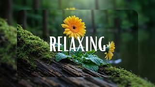  Soothing Piano with Nature for Emotional Recovery and Mental Peace