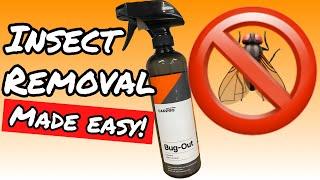 Easy Way To Remove Stubborn Bug Guts | 4K