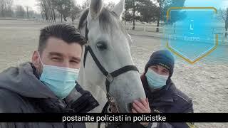 PREDSTAVITEV POKLICA #7