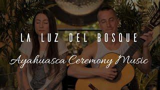 La Luz Del Bosque - Ayahuasca Ceremony Music - Good Vibes!