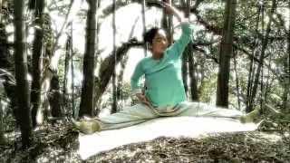 Immortal Arts Qigong - Bamboo Flow