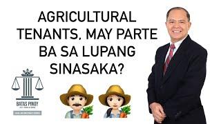 AGRICULTURAL TENANTS,  MAY OWNERSHIP RIGHTS BA SA LUPA?